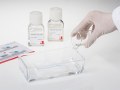 ReadyTector: the all-in-one solution for Western Blotting