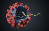 SARS-CoV-2 - Kits de extração de RNA viral