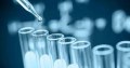 Reinforcing the power of cells: Accelerating research and treatment in cell therapy