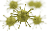 Virologia e parasitologia