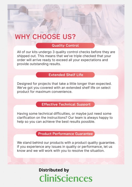 /upload/why-choose-us-reddot--hhyzuy.jpg