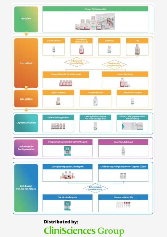 /upload/workflow-based-cell-culture-produ-pvxym4.jpg